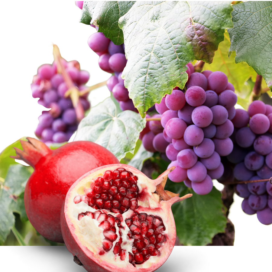 POMEGRANATE & PLUM Super fruit Anti-Oxidant Moisturizer 50 ml